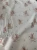 1000040524.webp